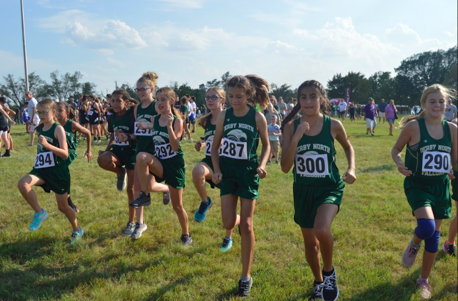 DNMS DMS cross country
